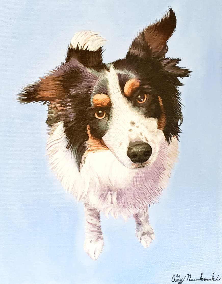 Painted portrait of a tri-color border collie sitting upright against a soft blue background, by Ally Nowakowski.