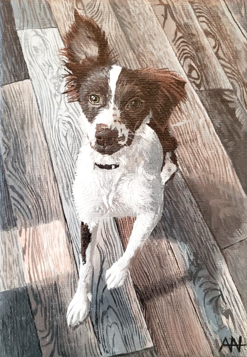 Painted portrait of a brown-and-white Brittany dog sitting on a hardwood floor, by Ally Nowakowski.