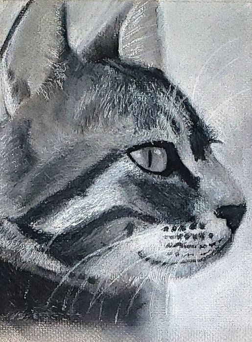 Tender pastel portrait of a tabby cat in profile, by Ally Nowakowski.